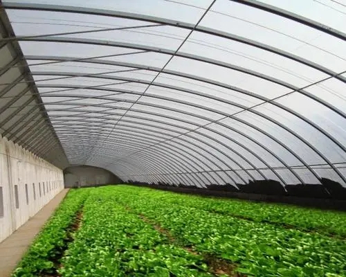 溫室養殖大棚建設